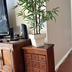 Decorative flower in a pot apartment Home decor Office decoration