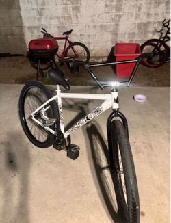 Throne 29er