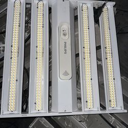 Led Light 