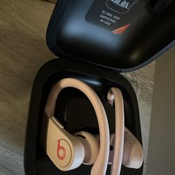 Pink  Beats - Powerbeats Pro Totally Wireless Earbuds