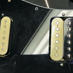 EVH Wolfgang Pickups