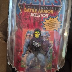 Masters of the universe commemorative series