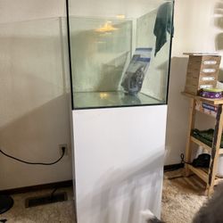 60 Gal Rimless Glass Tank with Stand And Accesories