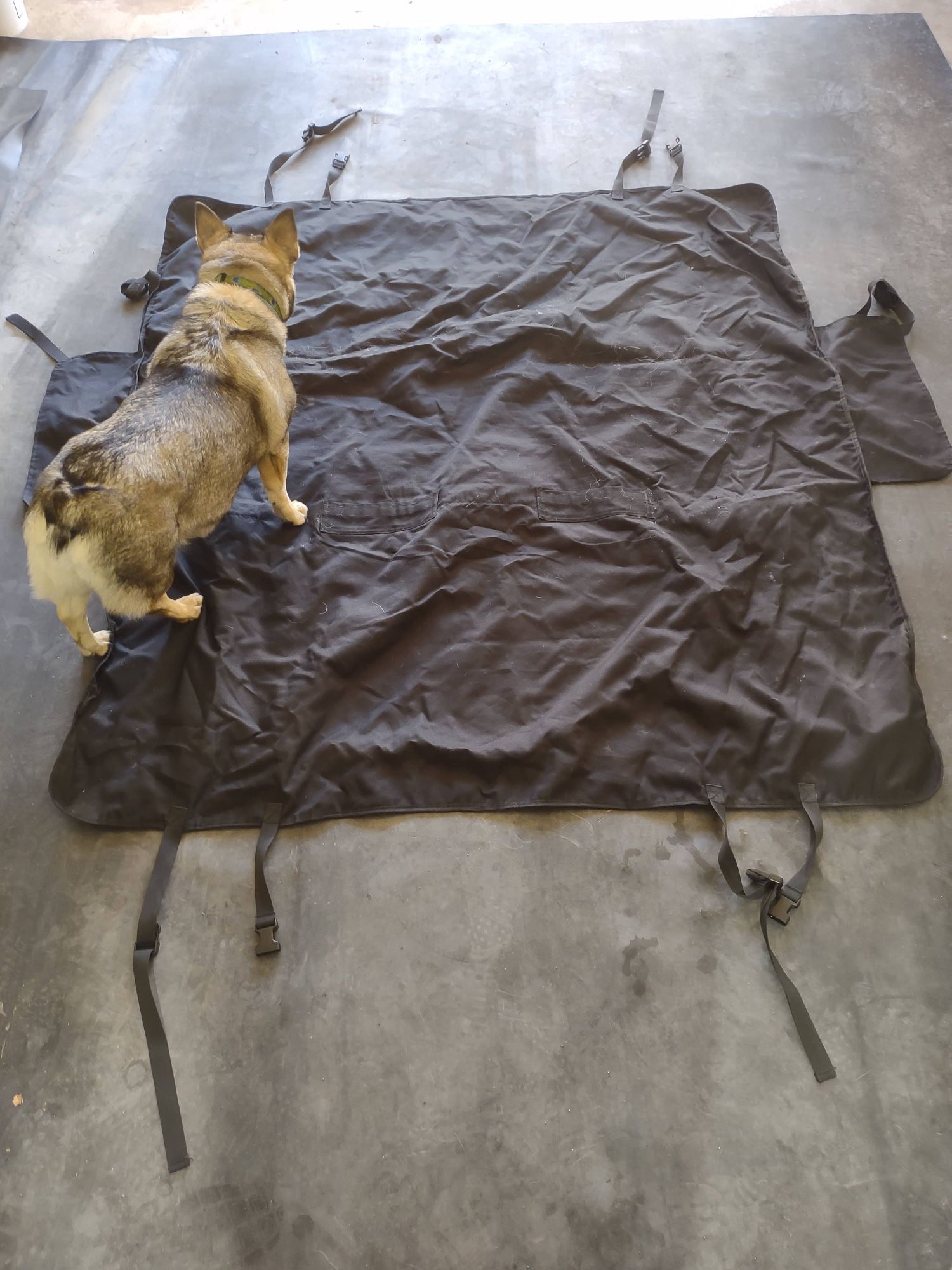 Car Cover For Dogs