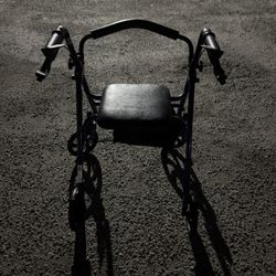 Disabled Walker 
