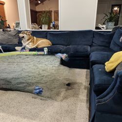 Blue swade L Couch 