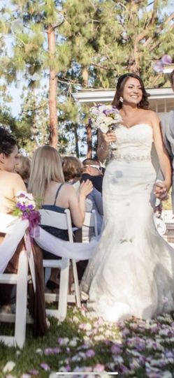 Wedding dress, vail, and jeweled belt