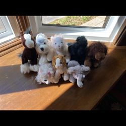 Assorted Webkinz