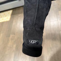 Ugg Boots Classic Short