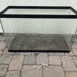 Fish Tank 