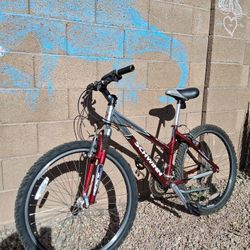SCHWINN SX 2000 