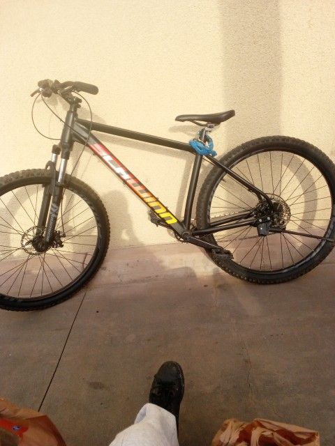 29inch Schwinn