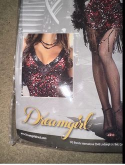 Dreamgirl Sequin Flapper Halloween Costume