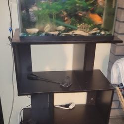 10 Gallon Fish Tank W Stand & Fish