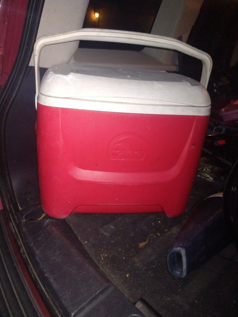 New Med Sz Igloo Cooler 7 Firm Look My Post Great Deals