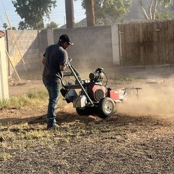 Stump Removal 