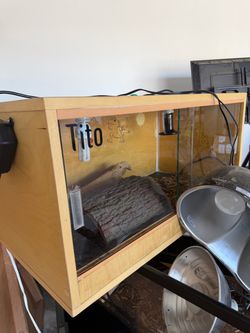 Reptile enclosure