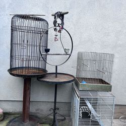Bird Cages Free