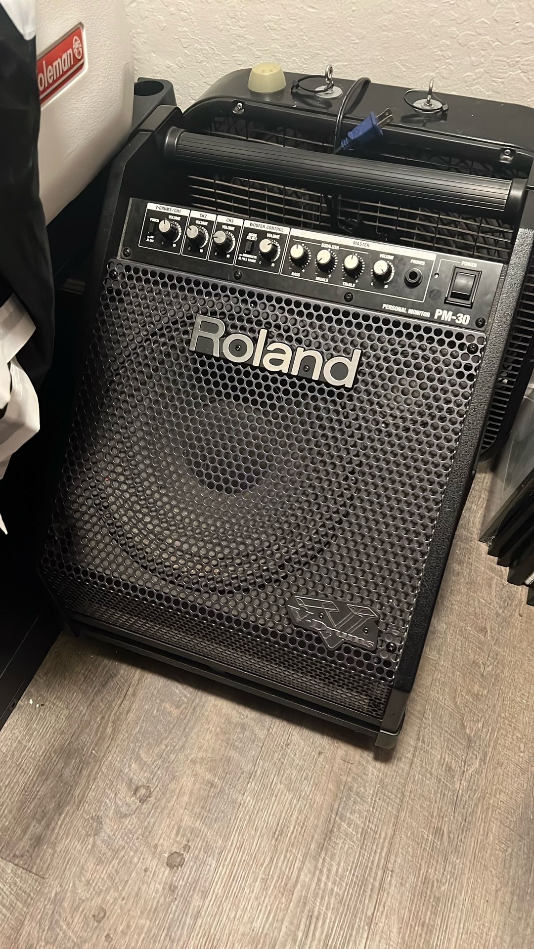 Roland PM-30