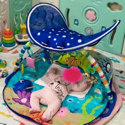 Disney Baby Finding Nemo Mr. Ray Ocean Lights & Music Activity Play Gym