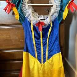 Snow White Halloween Costume 