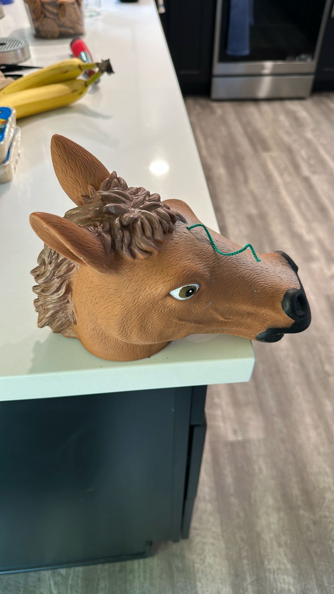 Horse Head Squirrel Feeder