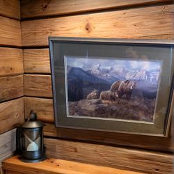 Valley Of The Grizzly By Isabel Levesque 