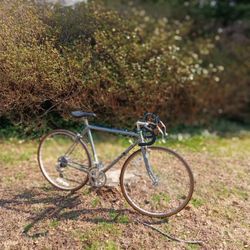 Schwinn Lightweight Road Bike READY TO RIDE 
