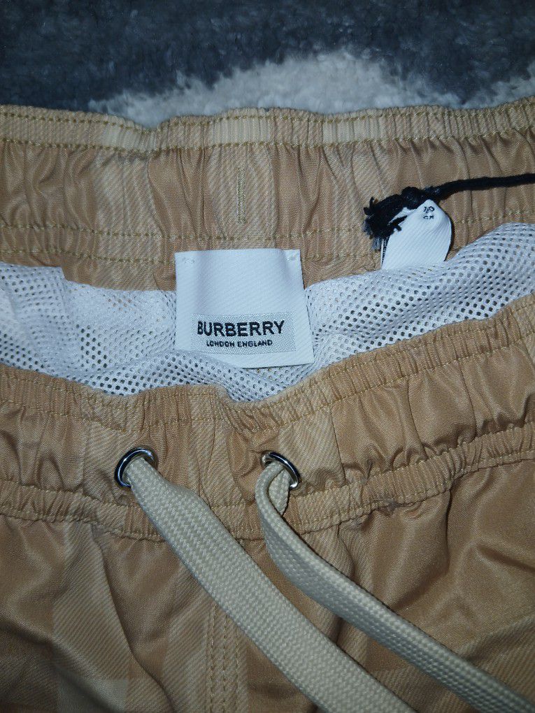 Burberry Swimming Shorts