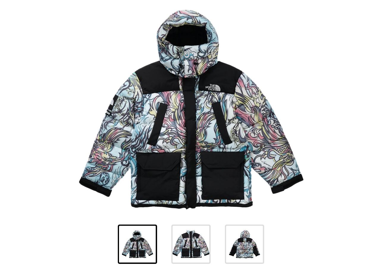 Supreme The North Face 700-Fill Down Parka Multicolor Dragon