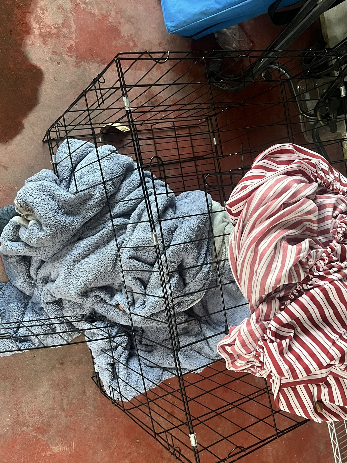 Kennel
