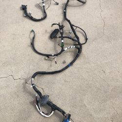 Subaru 2004-2006 Wiring Harness 