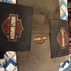 Carpet