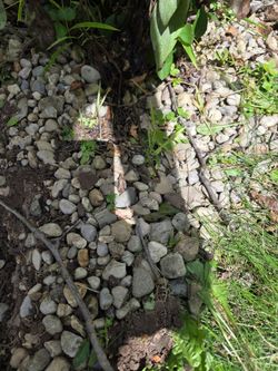 Free Landscaping Rocks