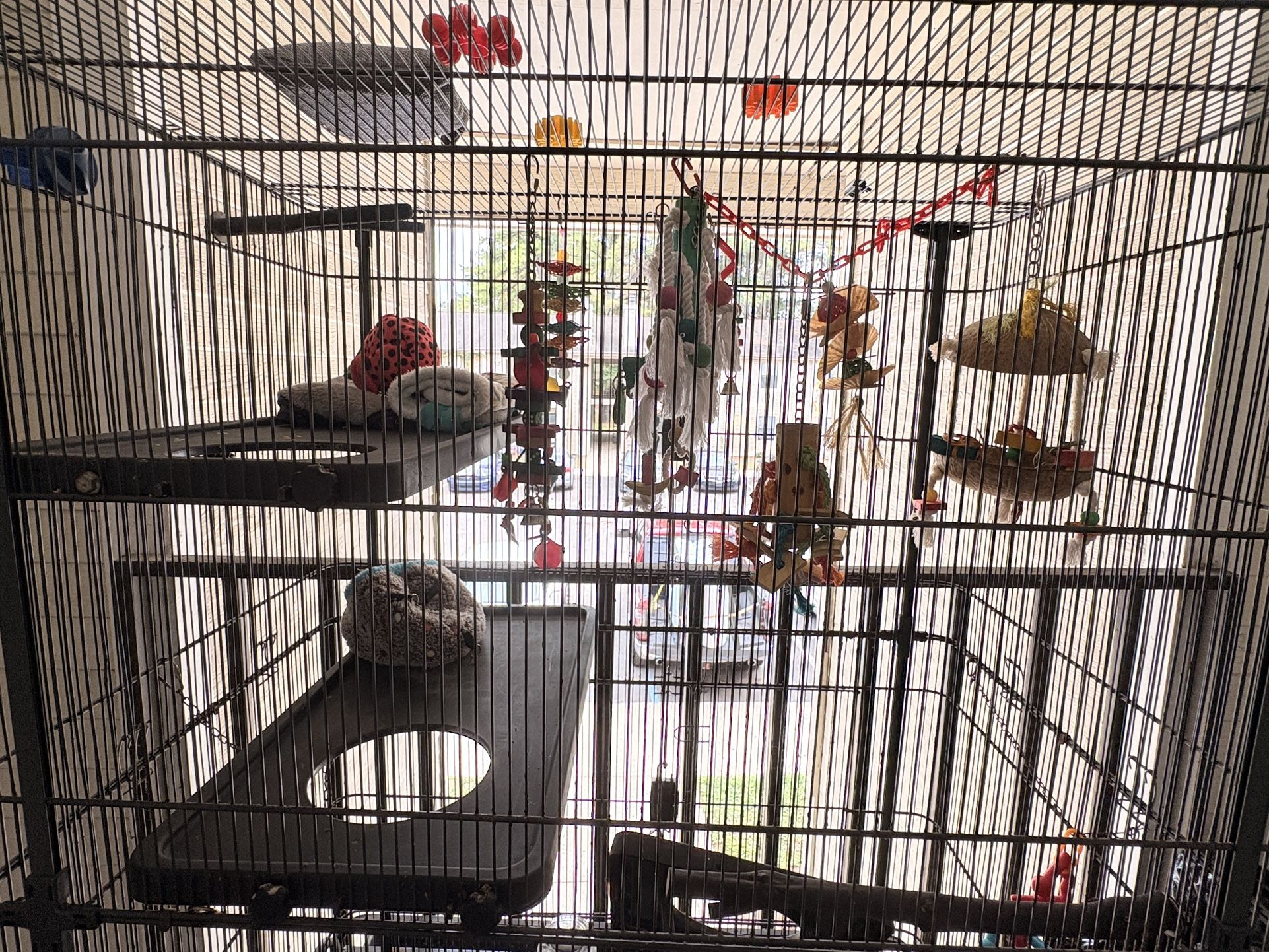 Large Bird/Flying Animal Habitat With Toys