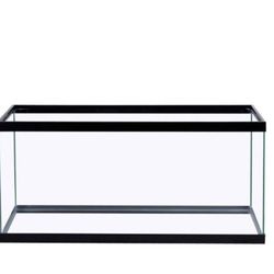 40 Gallon Fish Tank And Metal Stand