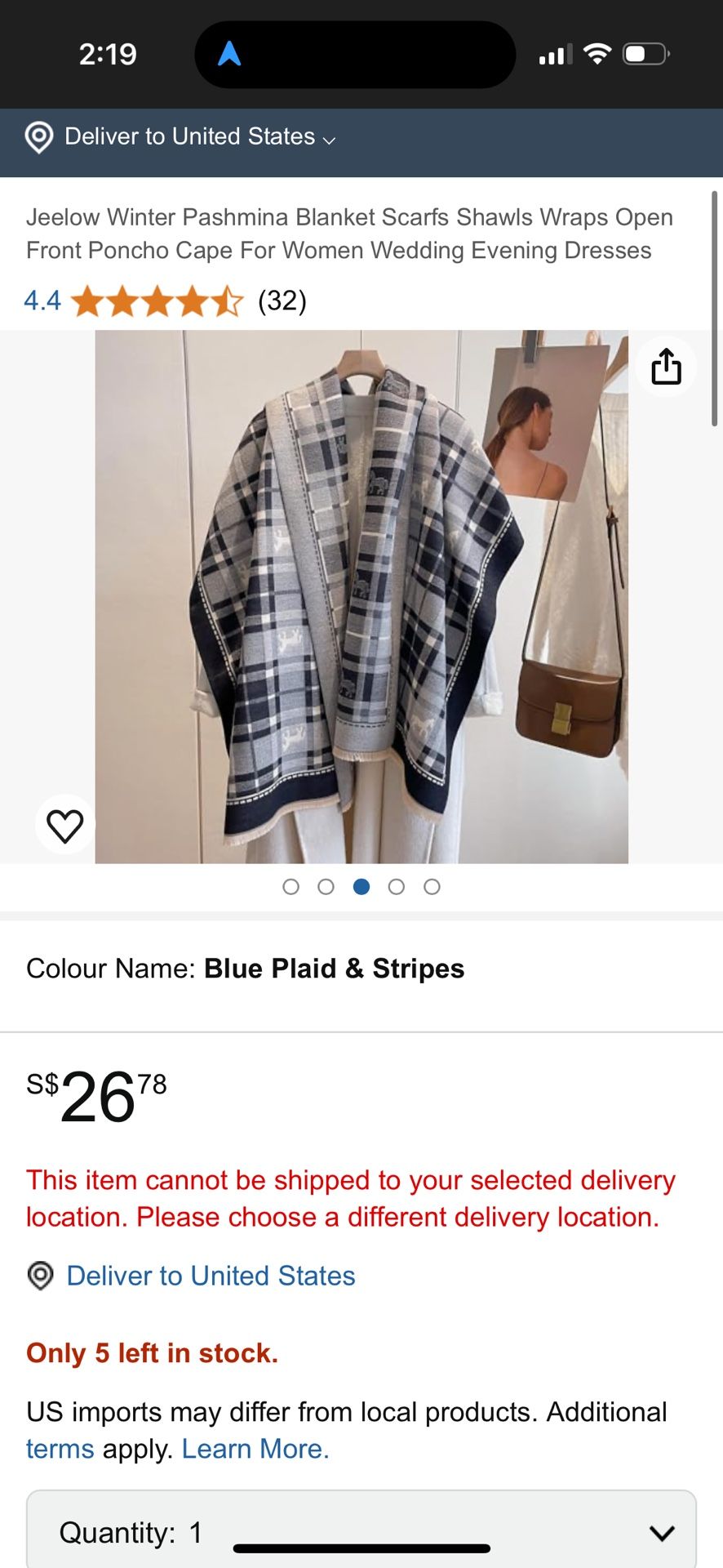 Winter Shawl/Scarf