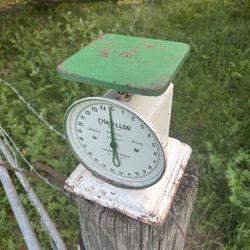 Vintage Chatillon Glass Front Scale