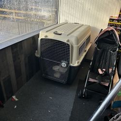 Big Dog Traveling Gauge