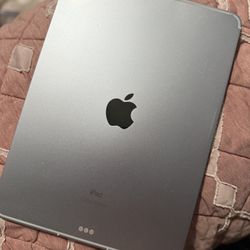 Apple iPad Air 4th Generation 