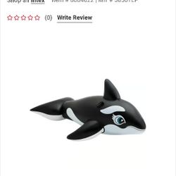 Whale Pool Inflatable 
