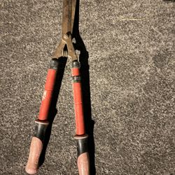 Hedge shears