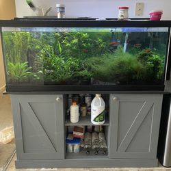 75 gallon fish tank aquarium 