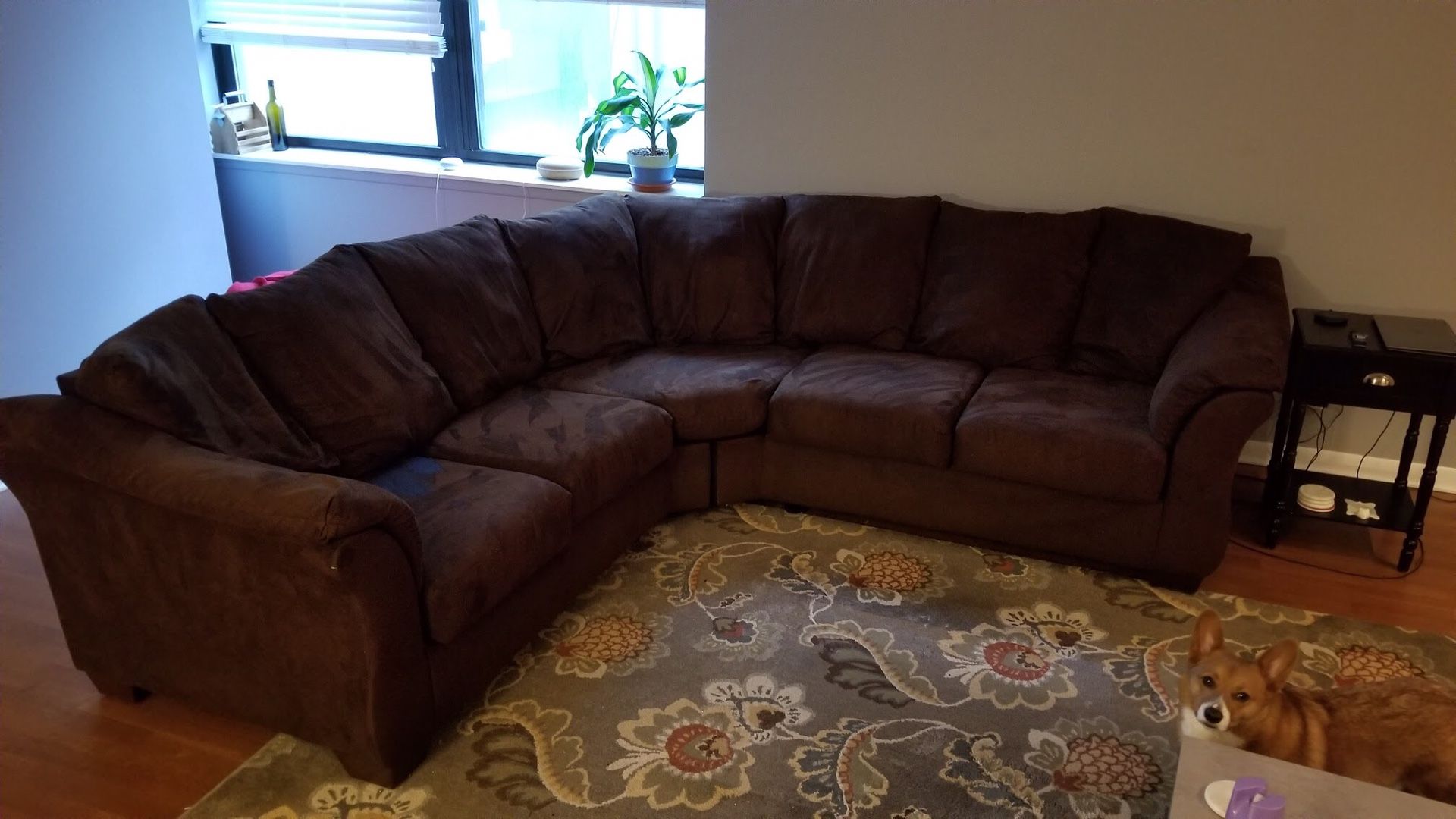 Brown 2 piece sectional