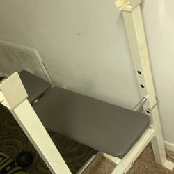 Weight Bench 