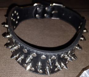 Spiked Alternative Collar