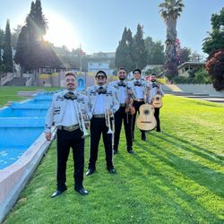 Mariachi Violin