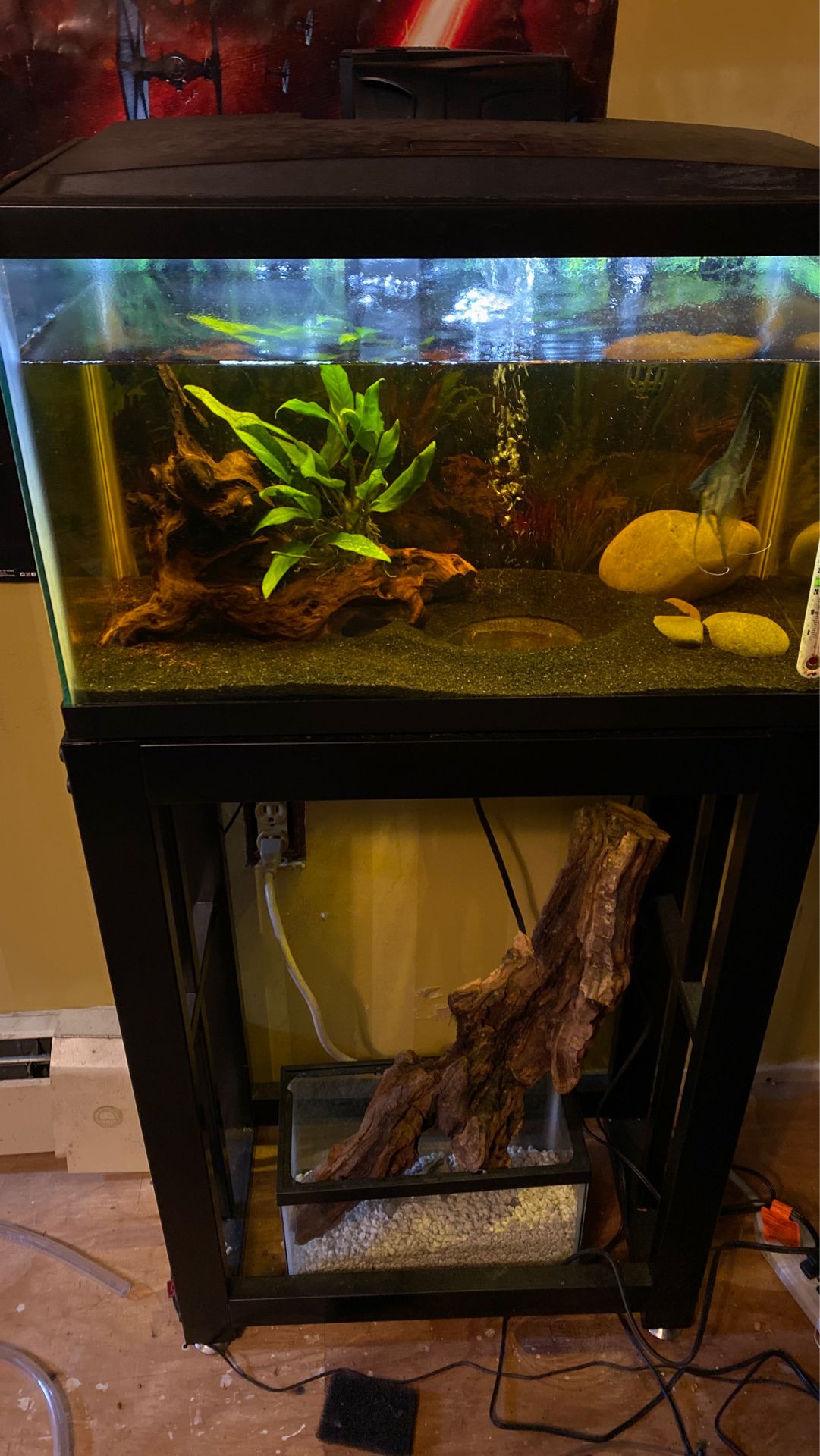 10 gallon tank everything included except wood and rock