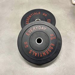 110lb Weight Plate Set of 55lb plates