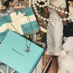 Tiffany & Co Necklace And Gift Box 